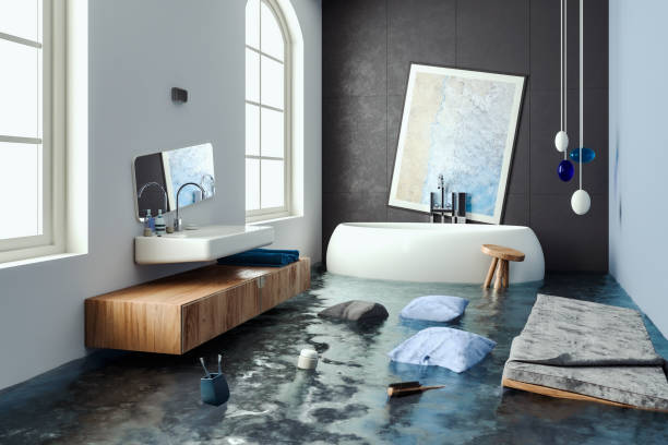 Best Mold removal after water damage  in Fern Park, FL