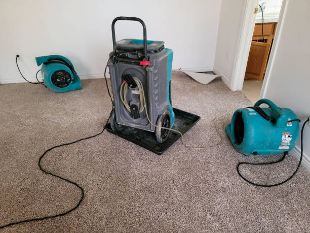 Best Water damage contractors near me  in Fern Park, FL