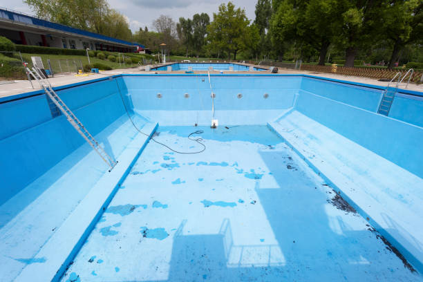 Best Basement water damage restoration  in Fern Park, FL