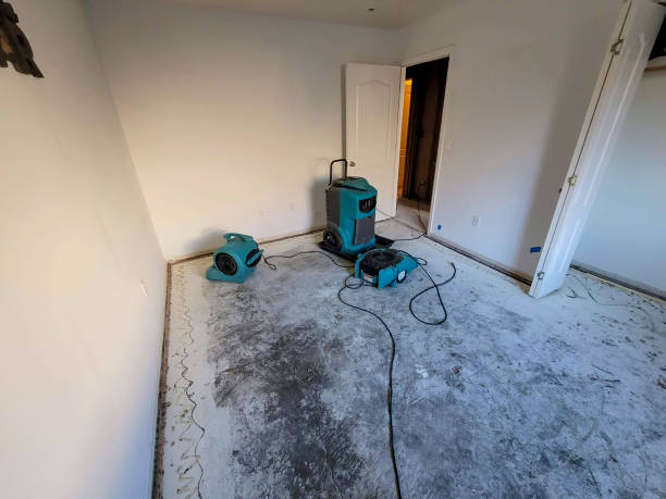 Sewage cleanup and water damage restoration in Fern Park, FL