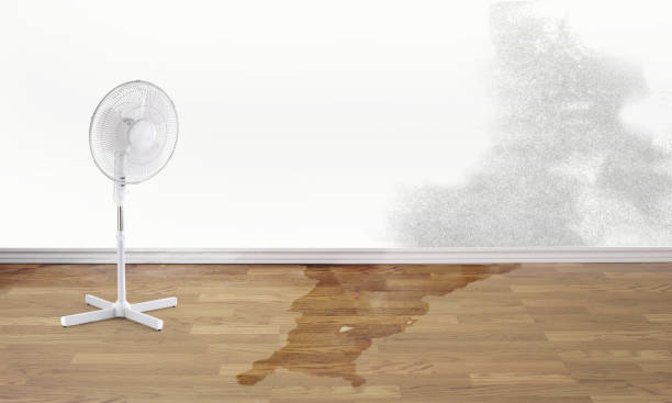 Best Commercial water damage restoration  in Fern Park, FL