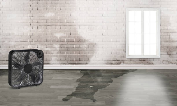  Fern Park, FL Water damage restoration Pros