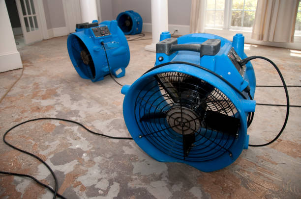 Best Water damage restoration near me  in Fern Park, FL