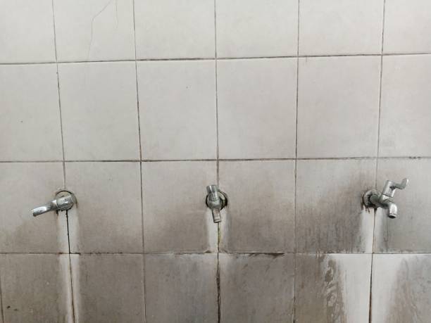 Best Water damage restoration near me  in Fern Park, FL